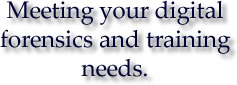 Meeting your digital forensics and training needs.